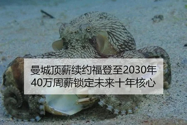 曼城顶薪续约福登至2030年 40万周薪锁定未来十年核心