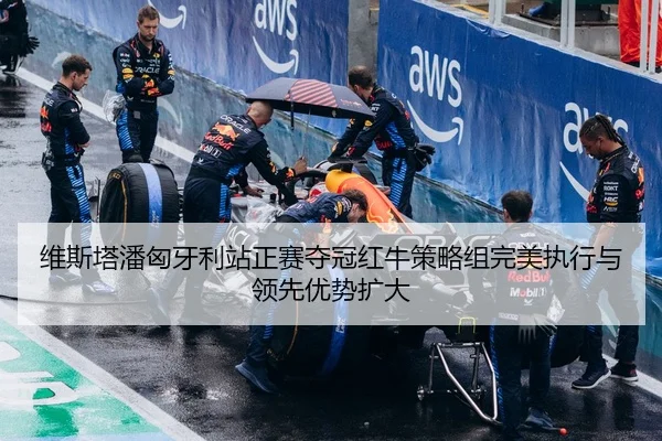 维斯塔潘匈牙利站正赛夺冠红牛策略组完美执行与领先优势扩大